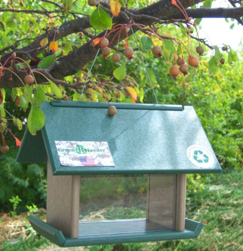 Songbird Essentials Mealworm Feeder Hunter/Drift