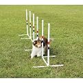 Agility-Weave Poles