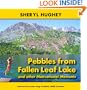 Pebbles from Fallen Leaf Lake and Other Motivational Moments