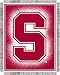 Stanford cardinals - College Focus 48x60 Triple Woven Jacquard Throw