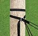 New Improved - Hammock Bliss Deluxe Cinching Tree Straps - Heavy Duty & Extra Long Adjustable Straps For Hanging Your Hammock With Ease