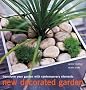 New Decorated Garden: Transform Your Garden with Contempory Elements