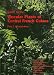 Guide to the Vascular Plants of Central French Guiana: Part 2. Dicotyledons (Memoirs of the New York Botanical Garden Vol. 76)