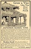 1909 Ad Japanese Kudzo Vine Seeds L. L. May St. Paul MN - Original Print Ad