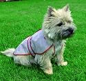 Clear Dog Raincoat Xs 30cm 12"