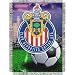 Chivas USA MLS Woven Tapestry Throw Blanket (48x60")"