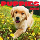 2012 Puppies Wall calendar