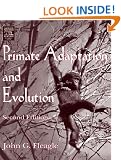 Primate Adaptation and Evolution
