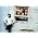 Vignette de Patrick Watson