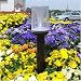 Super Bright Pole Solar Light - Solar Ground, Deck, Post Light
