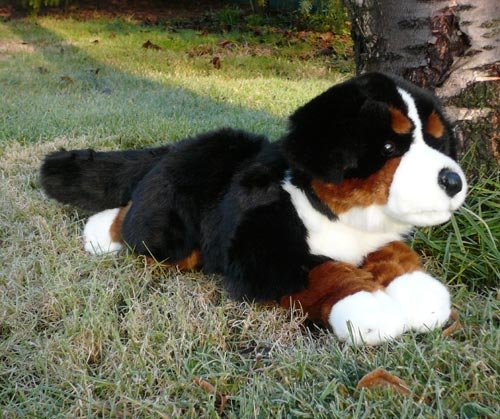 Berner Sennen Hund * Plüsch *