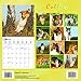 Collies Calendar - 2015 Wall calendars - Dog Calendars - Monthly Wall Calendar by Magnum