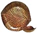 Glass Golden Elm Chip 14.5