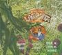 Salieri - La Grotta di Trofonio / Les Talens Lyriques, Rousset (with Bonus DVD)