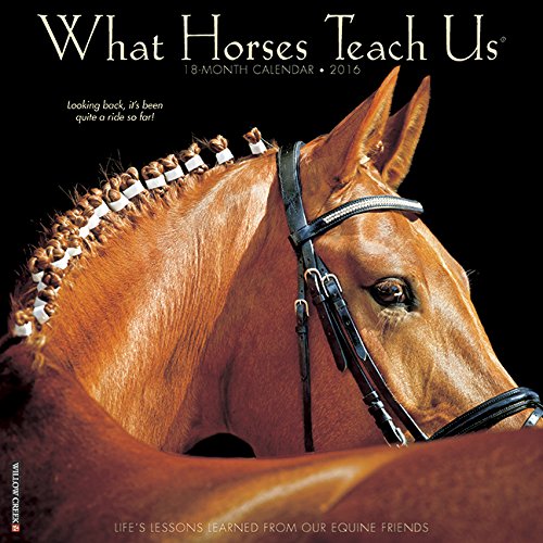 2016 What Horses Teach Us Wall Calendar