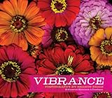 Vibrance Notecards