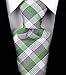 Scott Allan Men's Stripe Necktie