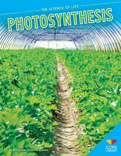 Photosynthesis (The Science of Life)