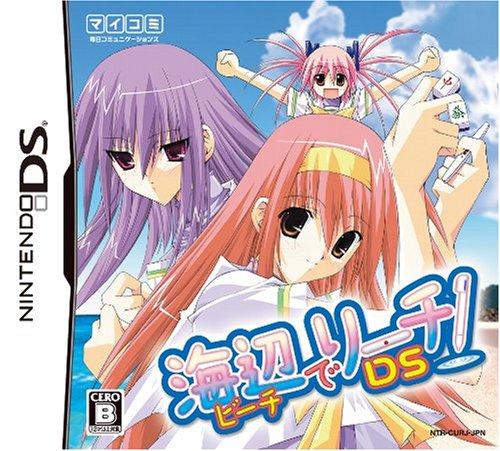 海辺(ビーチ)でリーチ!DS-イメージ