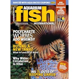 Aquarium Fish International (2-year)