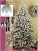 6.5 Pre Lit Full Glacial Fir Flocked Christmas Tree   Clear & Frost Lights