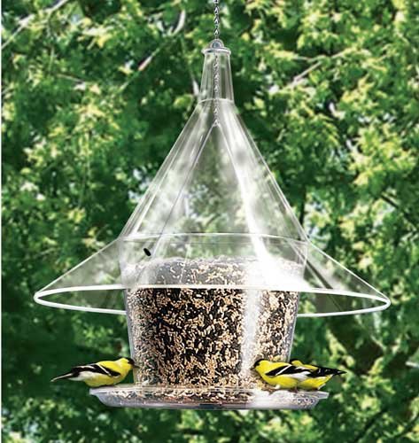 Arundale Mandarin Sky Café Squirrel-proof Large