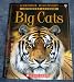 Big Cats (Usborne Discovery Internet-Linked)
