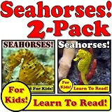 Seahorses! 2-Pack of Seahorse eBooks - Seahorse Photos And Facts Make It Fun! (Over 95+ Pictures of Different Seahorses)