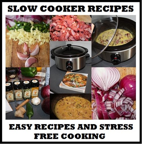 SLOW COOKER RECIPES: Fun and Easy Slow Cooker Recipes (Slow Cooker Recipes for Starters, Main Course and Desserts)