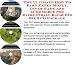 Book The Ultimate How To Earn Extra Money, Inner Game and eCommerce for Racquetball Racquets Biz 3 CD Package