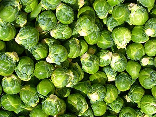 芽キャベツ（冷凍野菜★たっぷり500g入り）ブラッセルスプラウト≪冷凍食品・業務用≫ 【販売元：The Meat Guy(ザ・ミートガイ)】