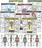 Set of Fitnus Chart Series II NFC1 Thru NFC13 24 X 36 Laminated (Set of 13)