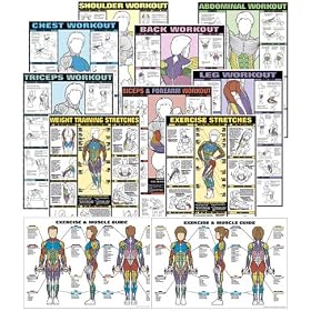 Click here to buy Set of Fitnus Chart Series II NFC1 Thru NFC13 24 X 36 Laminated (Set of 13).