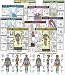 Set of Fitnus Chart Series II NFC1 Thru NFC13 24