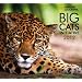 Big Cats . . in 2012 Calendars !