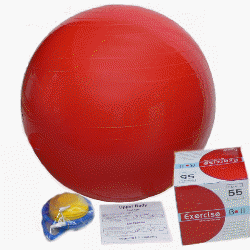 55cm Exercise Ball