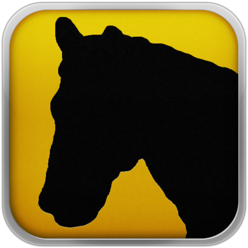 Horses 101 - Training Exercises