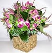 13" Silk Pansy and Grass Arrangement