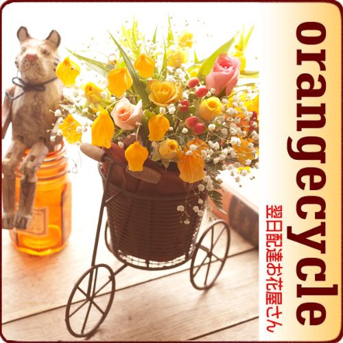 【クール便配送（無料サービス）】翌日配達お花屋さん　秋の風にゆらゆら揺れる！オレンジカラーのちょうちん型のお花をサイクルタイプのおしゃれなかごにアレンジしました。【送料無料】オレンジサイクル（サンダーソニアアレンジメント） [即日発送・翌日配達]　 誕生日・記念日・お祝い・結婚祝い・お見舞い・歓送迎会・結婚祝いお礼の花の配達便