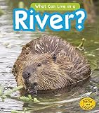 ISBN 9781484605752
