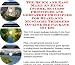The Down and Dirty Generate Extra Cash, Marketing and Inner Game for Beard And Mustache Trimmers On-line Businesses 3 CD Pack