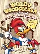 Woody Woodpecker & Friends Classic Collection 2 [DVD] [Region 1] [US Import] [NTSC]