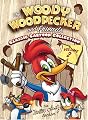 Woody Woodpecker and Friends Classic Cartoon Collection: Volume 2