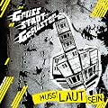 Muss Laut Sein