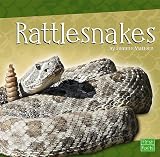 Rattlesnakes (Snakes)