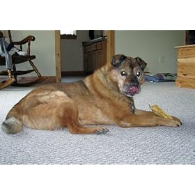 C.E.T. Enzymatic Oral Hygiene Chews for Large Dogs (26-50 Pounds)