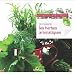 Je cuisine les herbes aromatiques
