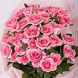 バラギフト専門店のマミーローズ 選べるバラ本数セレクト 還暦祝い 誕生日 プロポーズ 贈り物の豪華なバラの花束(生花) 濃いピンク 22本