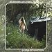 This Time Around at MP3 downloads for the name: 61CntshuT-L._SL75_