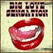 Big Love Sensation (Big Love House Tracks)